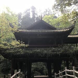 扛过当下苦再讲来时路铃声