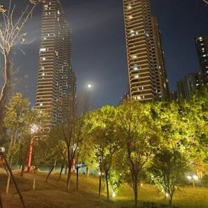 红尘情歌铃声
