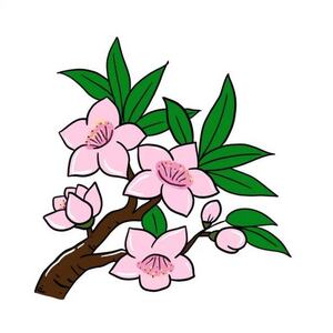新白娘子铃声