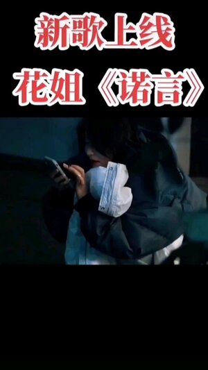 诺言花姐铃声