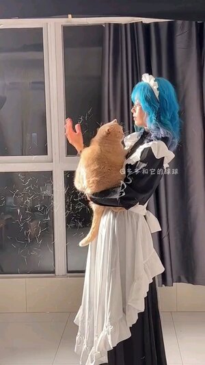坏猫歌完整版登场这猫可太好辣铃声