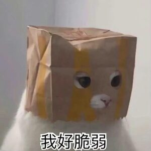 读中国背景音乐铃声