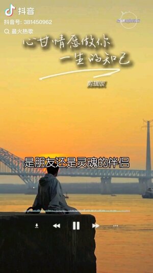 心甘情願做你一生的知己鈴聲