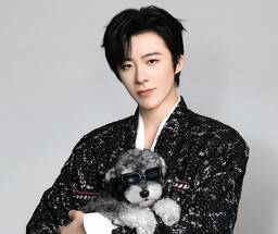 走马 刘宇宁铃声