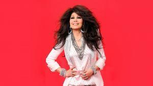 歐陽菲菲感恩的心鈴聲