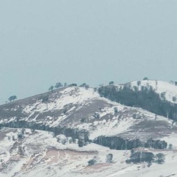 吉林的風吹過唐山吹到了河南鈴聲