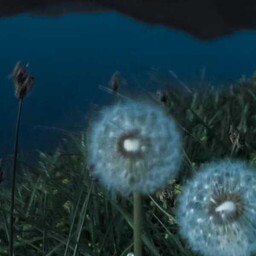 战马 苏谭谭铃声