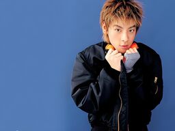 情感的废墟铃声