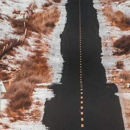 乌鸦说情话铁树开了花铃声