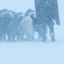 爱我就给我一个家