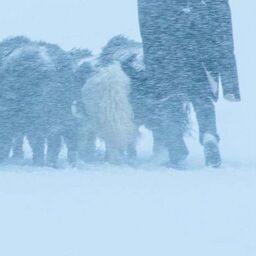 爱我就给我一个家铃声