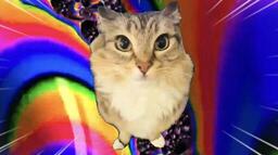 巴巴博一 通知铃声