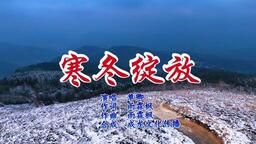 单卿 - 寒冬绽放铃声