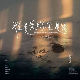 难道爱你全是错铃声