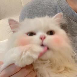 是什么让我遇见这样的你铃声