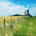 Windy Hill - 羽腫(極高音質)