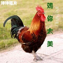 基基俠 (雞你太美)鈴聲