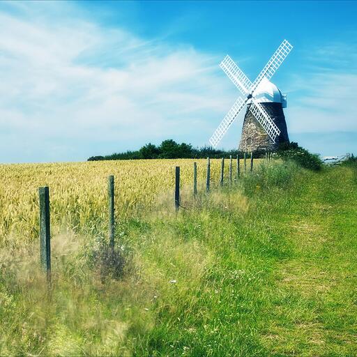 Windy Hill - 羽腫(極高音質)鈴聲