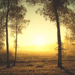 童年老家美麗鈴聲