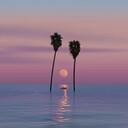 搁浅 (cover: 杨丞琳)(Live)