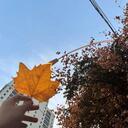 活个明白(释怀版)