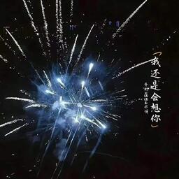 钟棋煜(渡)-我还是会想你铃声