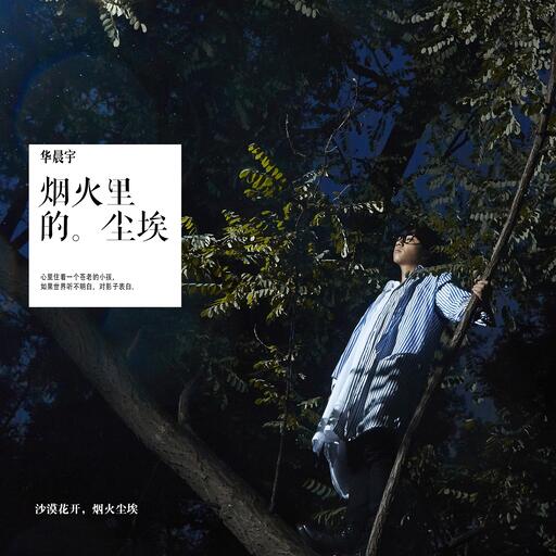 烟火里的尘埃_女版铃声