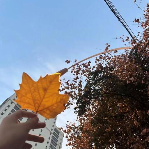 活个明白(释怀版) 罗慧君铃声