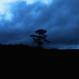 永不失联的爱_前奏部分铃声