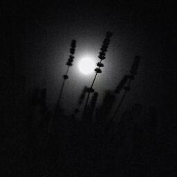 再见只是陌生人铃声