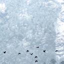 新不了情手机铃声