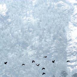 万芳-新不了情手机铃声