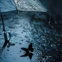 Desire4 - 驯服爱欲