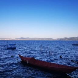 铃声-满目星辰皆是你