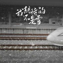 我期待的不是钱铃声