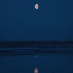 【偏向】你不要用无所谓的语气来跟我说 你没事你很好 你说什么我都听 我会给你最好的建议 可你记住这只是建议 你想做什么就去做铃声