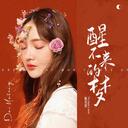 -醒不来的梦DJ版伤感情歌