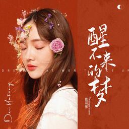 -醒不來的夢DJ版傷感情歌鈴聲