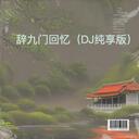 辞 九门回忆 (DJ版)