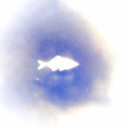 铃声mp3下载［雪下的时候  如果你有空 陪我过个冬 这话多像肆意的寒风 我不会感动 不会道保重