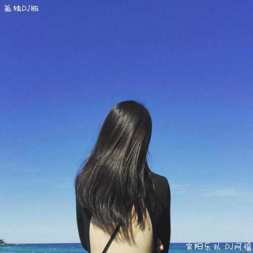 孤独 (DJ98k版)铃声