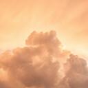 纯音乐   别知己