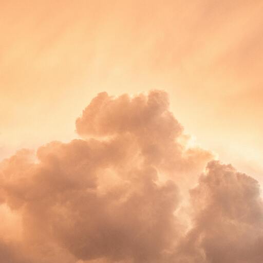 纯音乐   别知己铃声