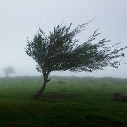 大風吹呀吹(粵語版)鈴聲