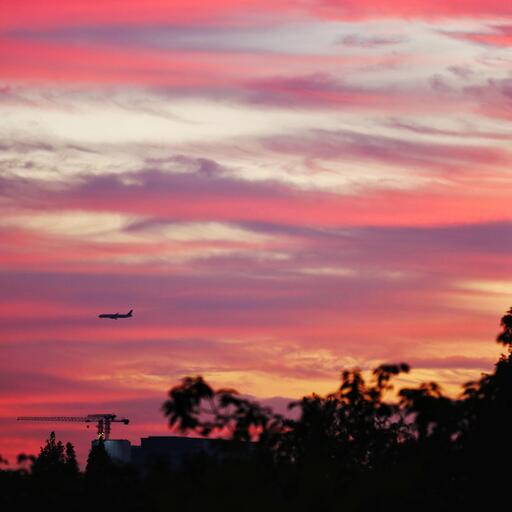 布谷鸟叫声。.铃声
