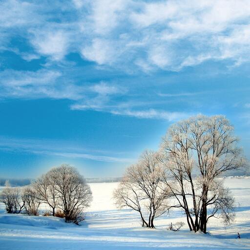 生活没有说明书 (人生啊 本没有说明书)铃声