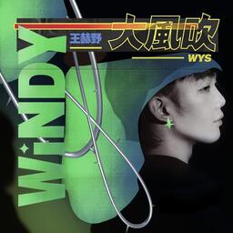 王赫野 - 大风吹铃声