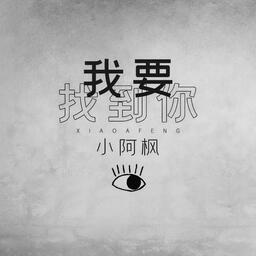 我要找到你（DJ版）铃声