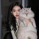 你的样子 (DJ越南版)(DJ越南版)