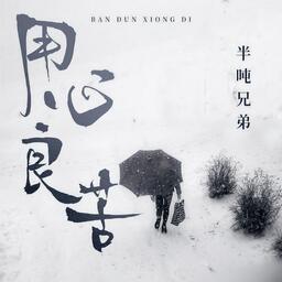 用心良苦 (DJ豪大大版)(DJ豪大大版)铃声
